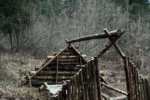Shelter-Bau-Wald-Survival-Skills-Rabaukencamp